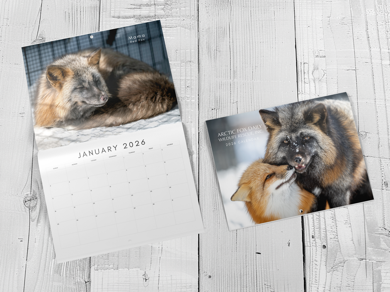 2026 Arctic Fox Daily Calendar