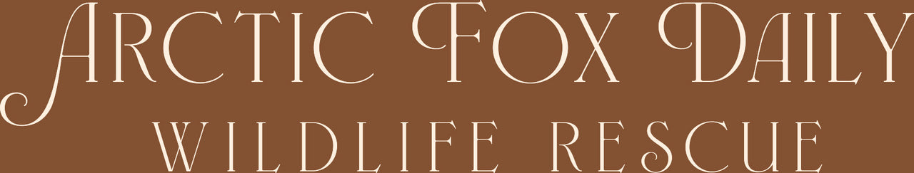 FALL 2025 BOHO EDITION ARCTIC FOX DAILY ADULT SWEATER - International Orders