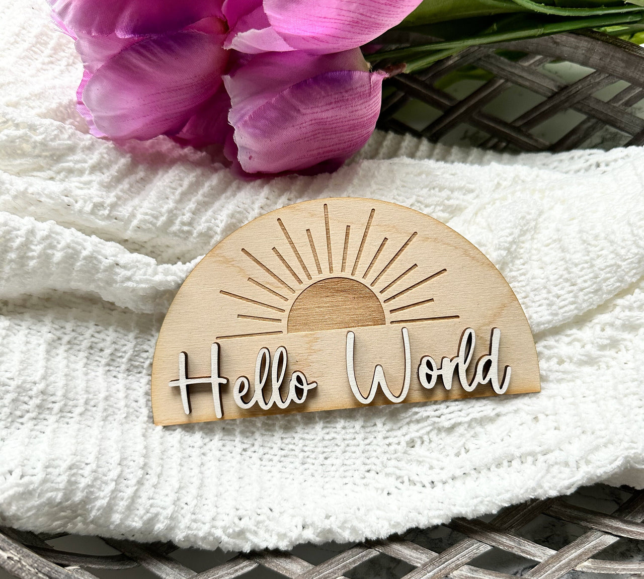 Hello World Sign, Birth Announcement Sign, Baby Announcement, Hello World, Baby Reveal, Baby Reveal Sign, Birth Sign